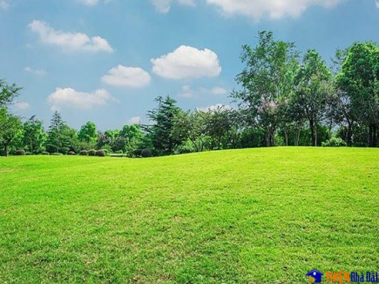 Giấy tờ pháp lý có thể làm giả lừa đảo người mua